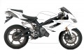 2009_triumph_daytona_675-5-copy
