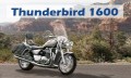 thunderbird