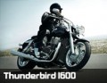 slider_thunderbird