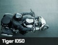 slider_tiger1050