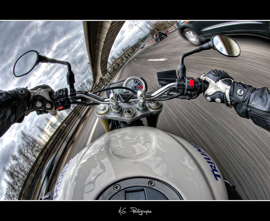 Speed artistique