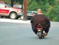 fat-boy-on-small-moto
