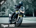 tiger800