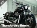 thunderbirdstorm