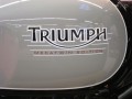 triumph_mecatwin_bobster4