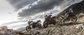 triumph_tiger_800_XRx_63