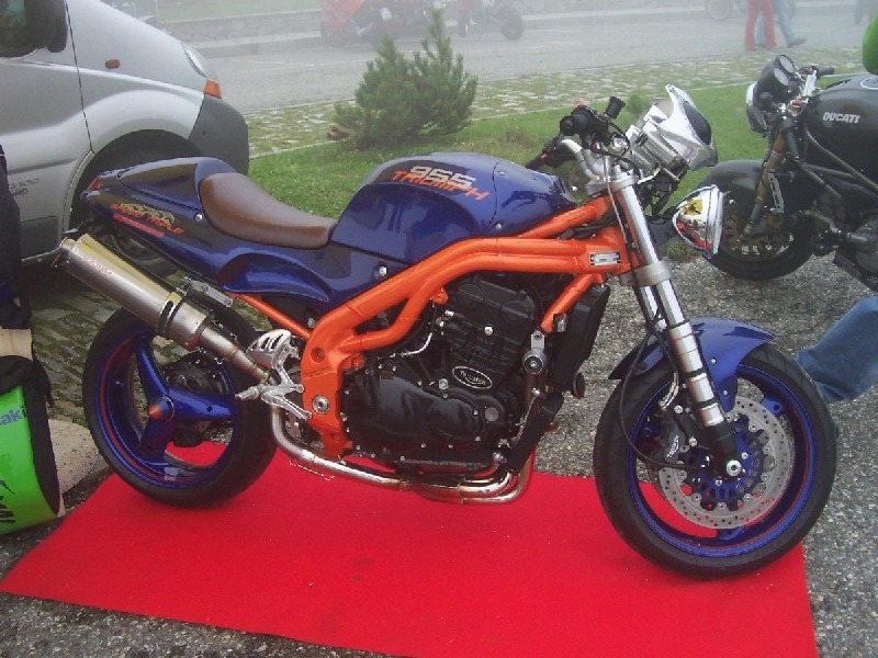 955 ALTO.JPG