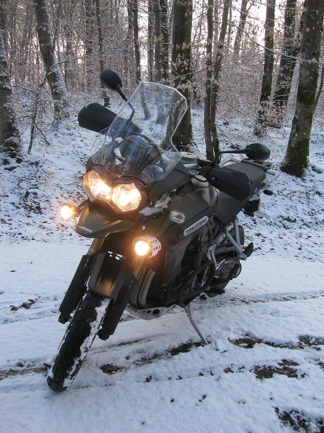 Tiger Explorer