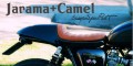 Jarama2_camel